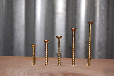 1650 pcs.combo kit (5) sizes yz lox coarse wood screws 