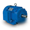 New 300 hp 1800 586/7U 460 design c crusher motor